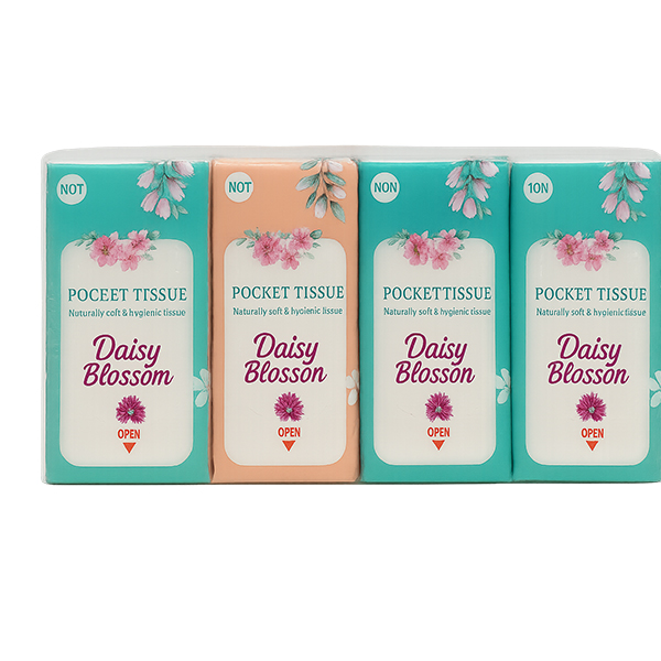 Pocket Tissues (10pkt)